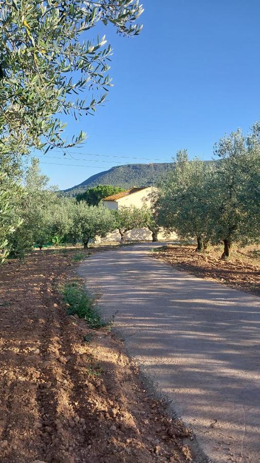 Casa Rural Cal Marti El Pla de Manlleu Eksteriør billede