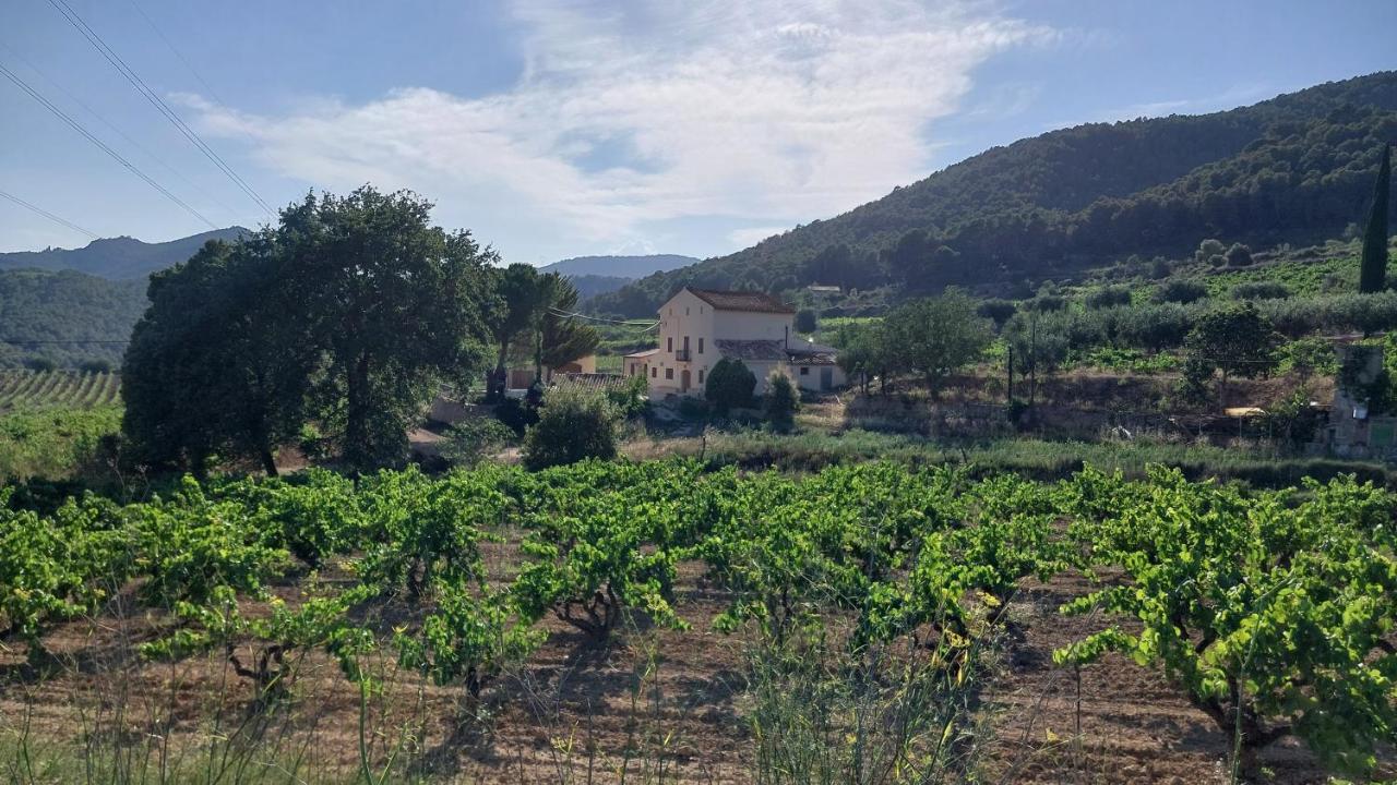 Casa Rural Cal Marti El Pla de Manlleu Eksteriør billede