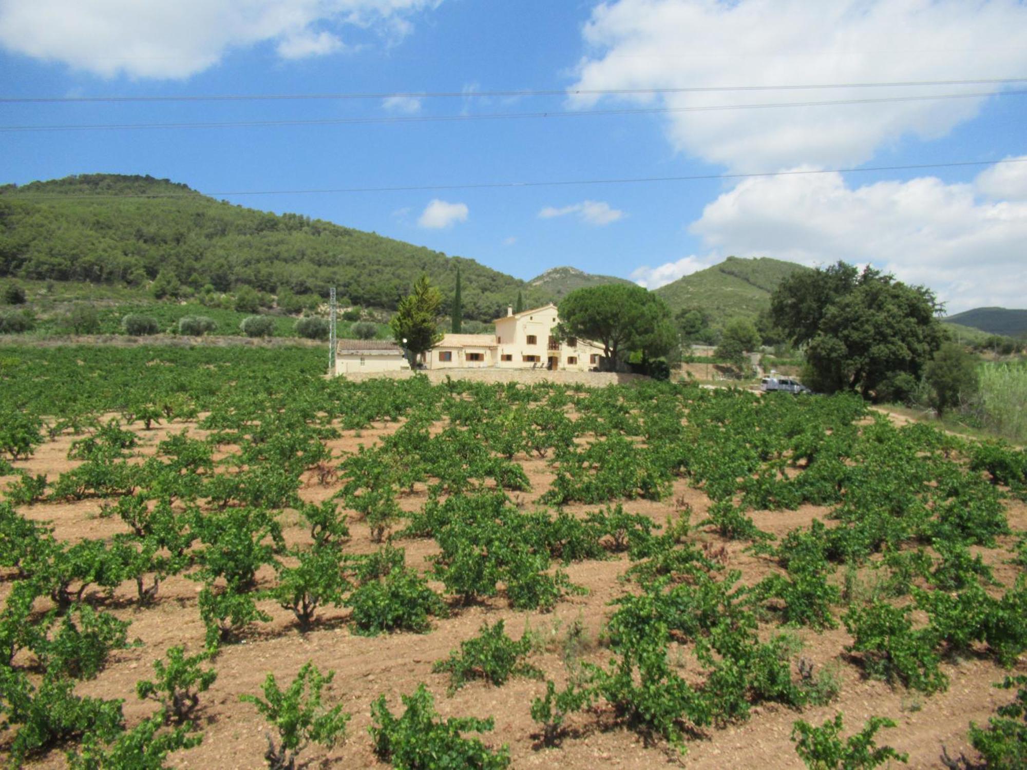Casa Rural Cal Marti El Pla de Manlleu Eksteriør billede