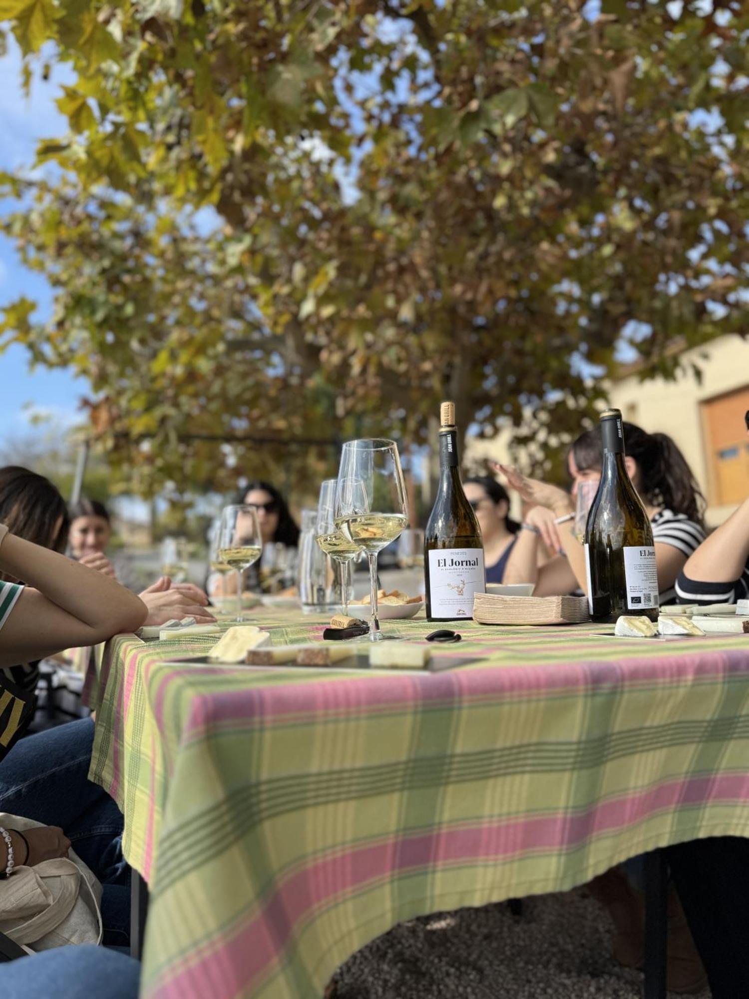 Casa Rural Cal Marti El Pla de Manlleu Eksteriør billede